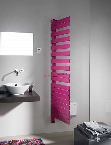 Электрический полотенцесушитель Zehnder Roda ROER-100-55/IPS белый