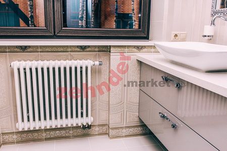 Радиатор Zehnder Charleston Completto CH 2050/22 V001 ½ RAL 9016