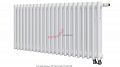 Радиатор Zehnder Charleston Completto 3050/22 V001 1/2 RAL 9016 нижнее подключение
