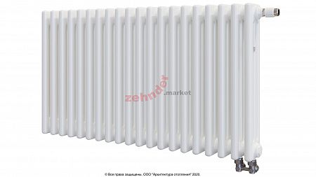 Радиатор Zehnder Charleston Completto CH 3050/20 V001 ½ RAL 9016