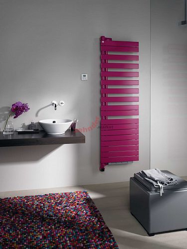 Электрический полотенцесушитель Zehnder Roda ROER-100-55/IPS белый