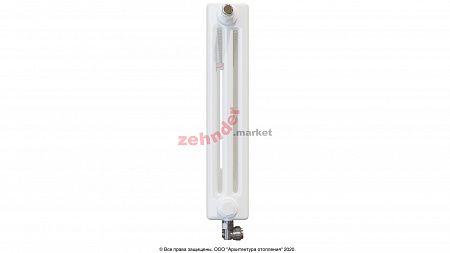 Радиатор Zehnder Charleston Completto CH 3050/22 V001 ½ RAL 9016