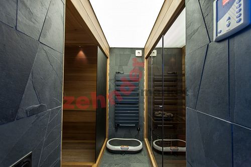 Электрический полотенцесушитель Zehnder Roda ROER-100-55/IPS белый