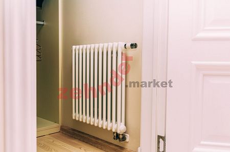 Радиатор Zehnder Charleston Completto CH 2050/24 V001 ½ RAL 9016